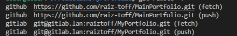 Git remotes configured for the Portfolio project